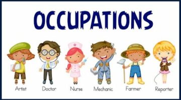 Types of occupations